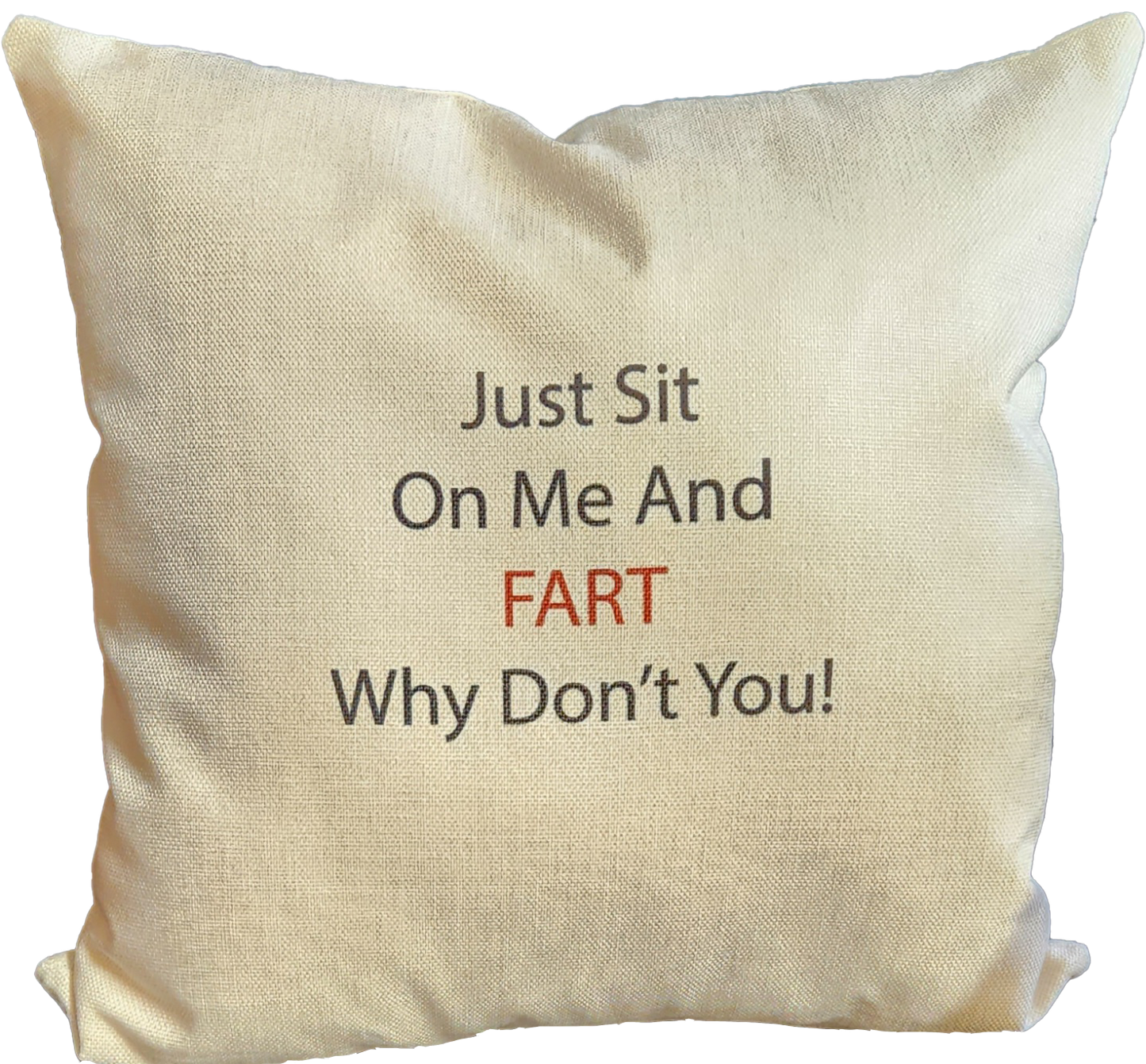 Just Sit On Me and Fart Throw Pillow