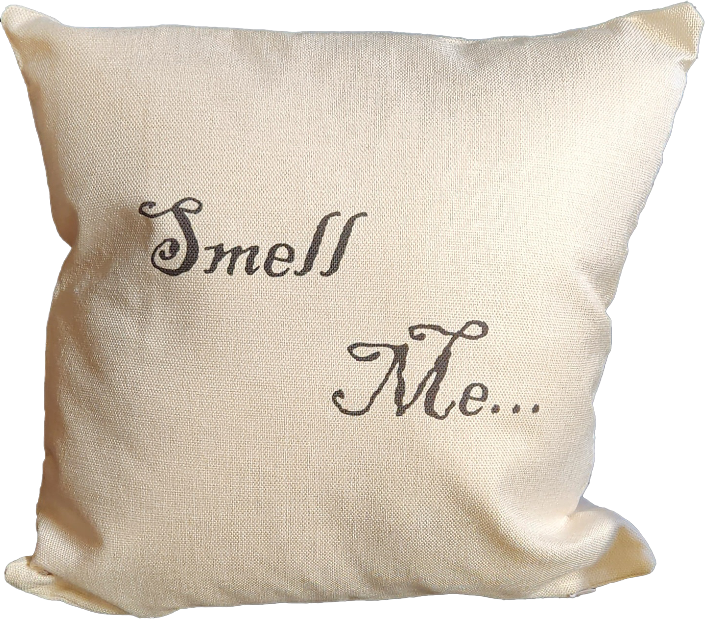 Smell Me/Do you Smell Chloroform? Decorative Throw Pillow